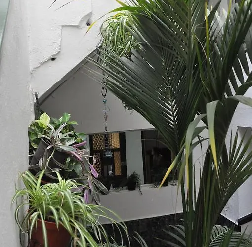 Falow Las Palmas de Gran Canaria